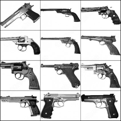 14 pistol sikat