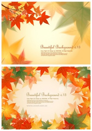 2 Maple Leaf Background Vector
