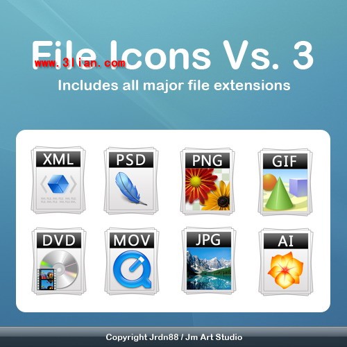 icônes de format logiciel 99