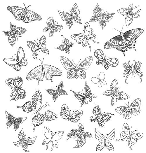 uma variedade de borboletas