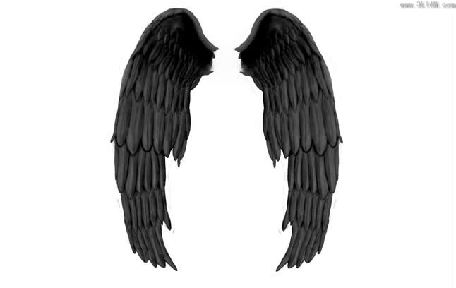 ангел крылья psd