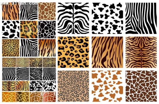 skóry zwierząt tekstura tło