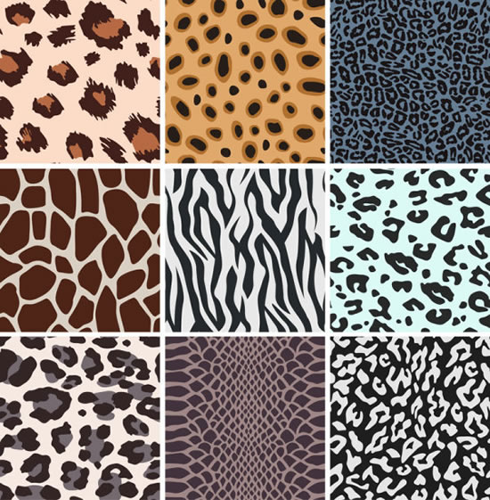 Animal Skin Textured Pattern