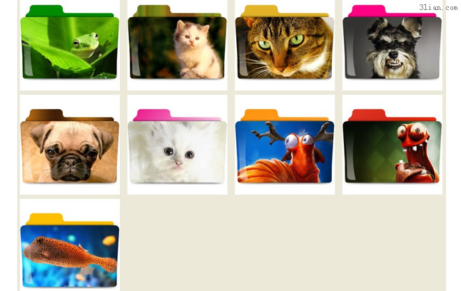 Animal Theme Folder Png Icon