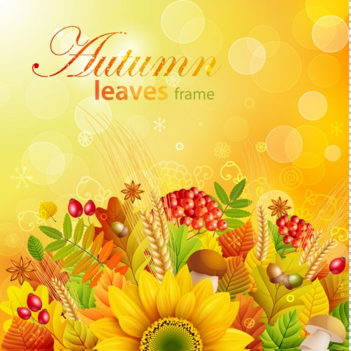 Autumn Background Of Sunflower Plants