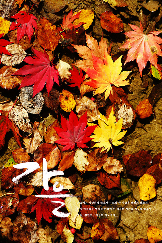 foglie di autunno sfondo materiale psd