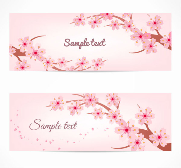 Background Of Pink Cherry Blossoms In Spring