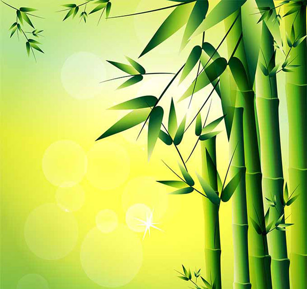 latar belakang Bambu