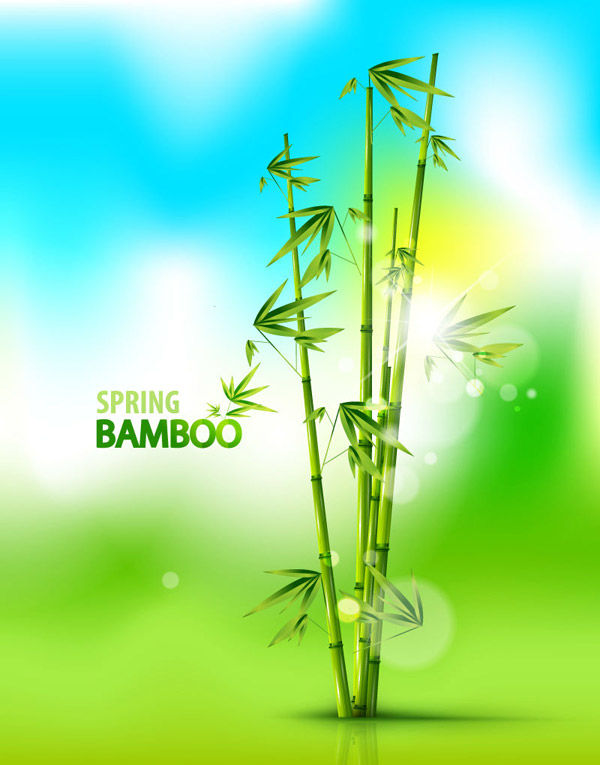 Bambu rüyalar arka plan