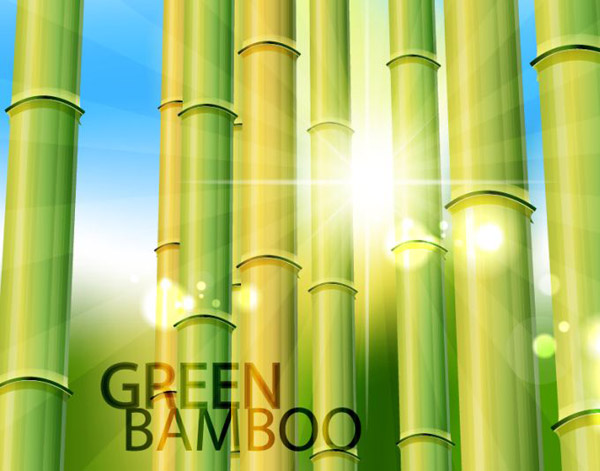 竹の緑の光