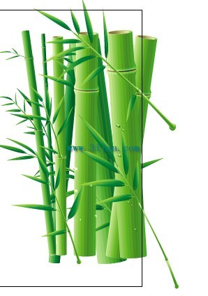 bambusa 条件の検討