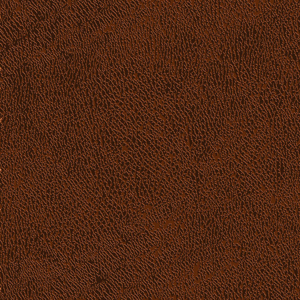 texture de beau cuir brun