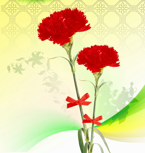 chất liệu đẹp psd Hoa cẩm chướng