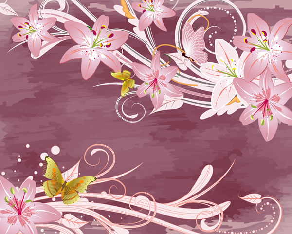 Beautiful Lily Flower Background