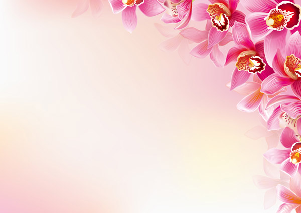 красивые орхидеи украшают фон
