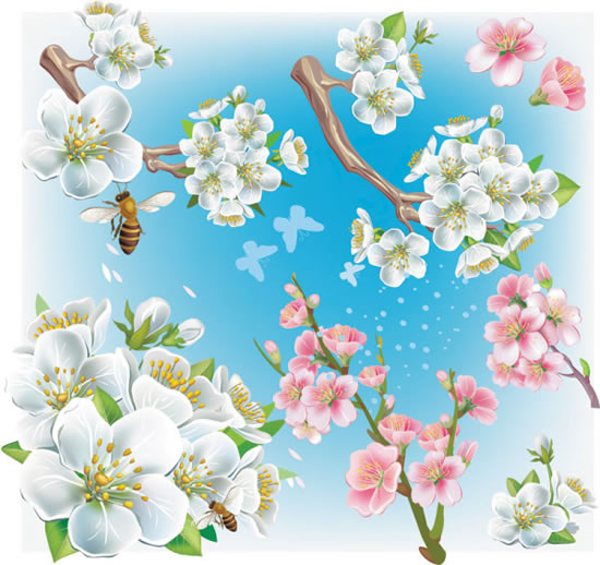 Beautiful Peach Blossoms Background