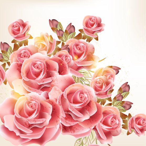 ดอกไม้กุหลาบสีชมพูสวยงาม