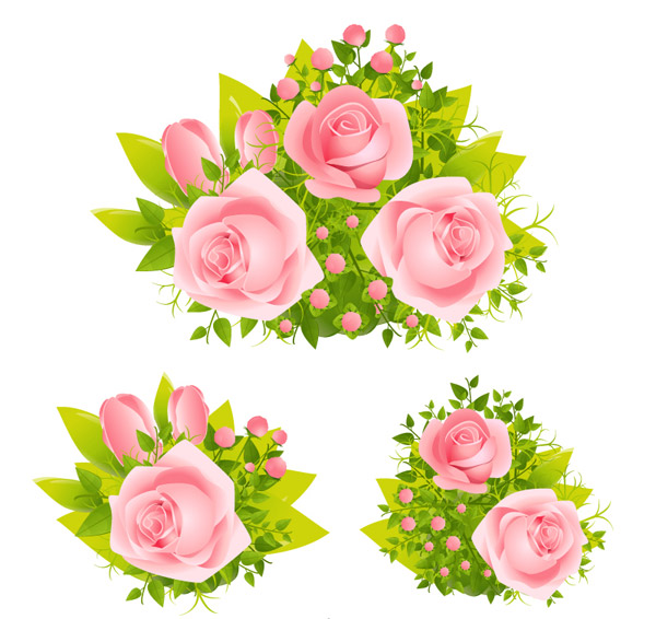 красивых розовых роз