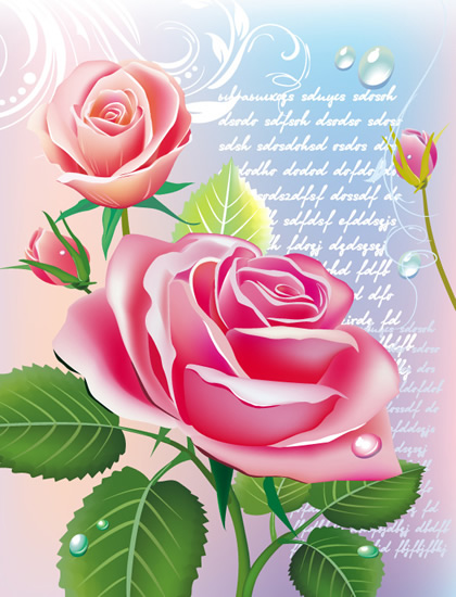 petali di rosa belle