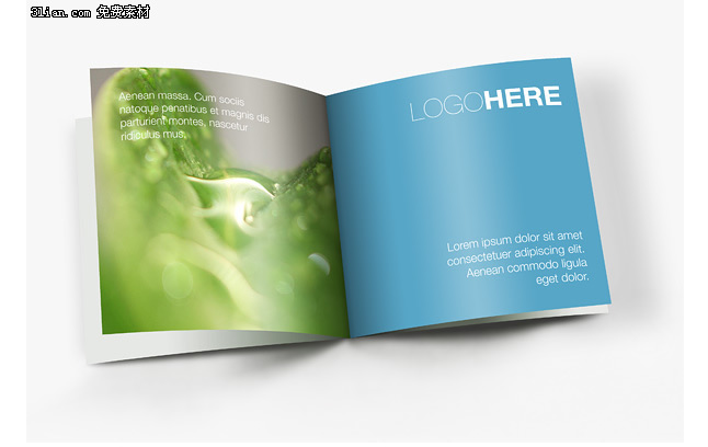 Beautiful Vi Series Brochure Design Templates