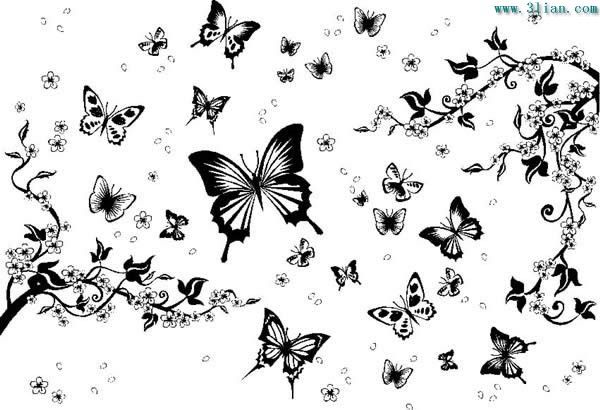 черно-белая бабочка