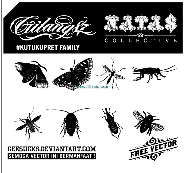 insetti in bianchi e nero
