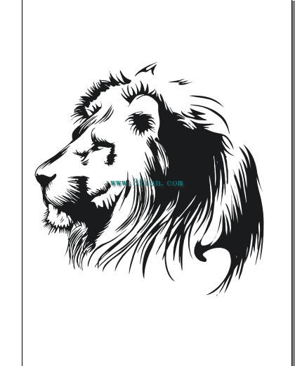 Black And White Lion Head Cdr