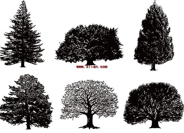 alberi in bianchi e nero