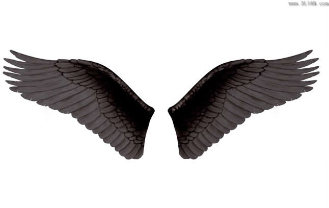 PSD y alas negras