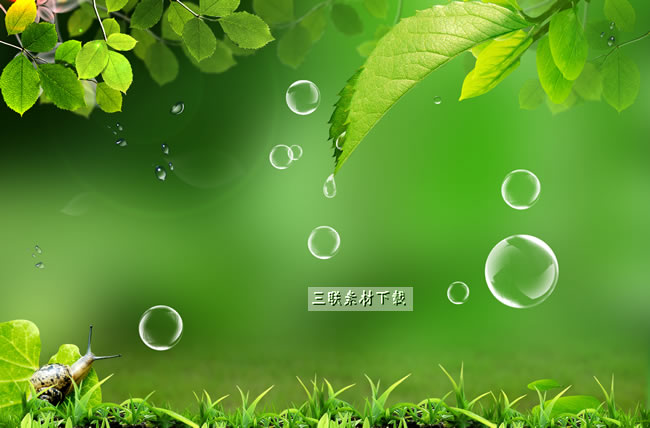 Bubble świeżych zielonych liści ślimak tło psd materiału