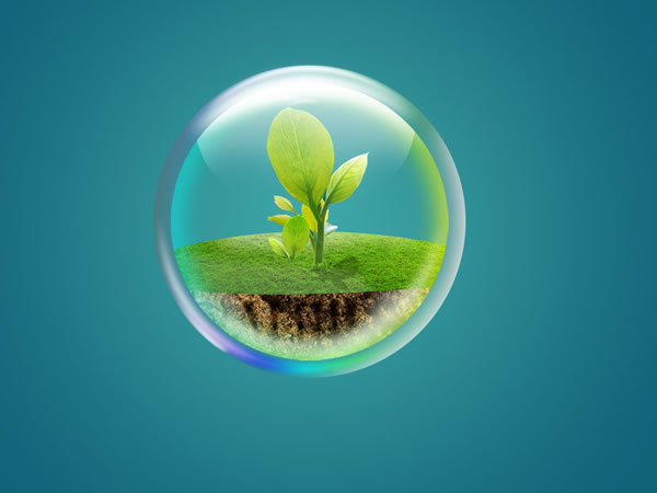 Bubble Green Seedlings In Psd Material