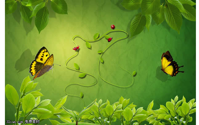 Bud Green Butterfly Psd Material