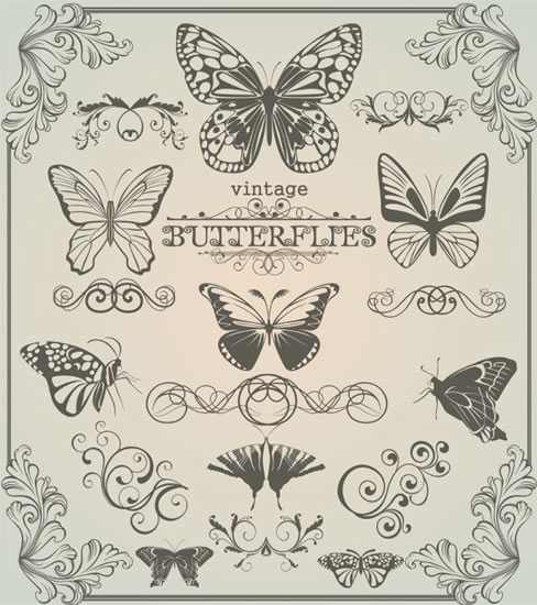 padrão de borboleta