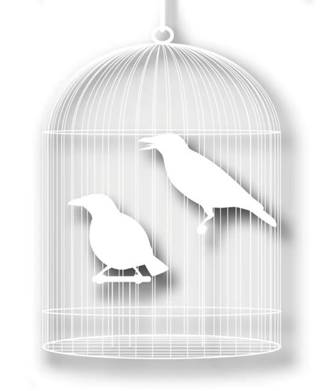 Cage With A Bird Silhouette