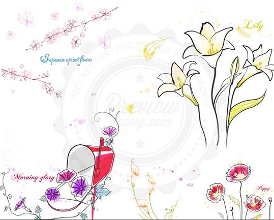 칼라 릴리 꽃 나팔꽃 꽃 스케치