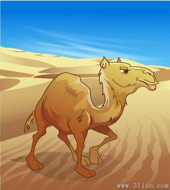 駱駝
