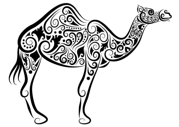 черно-белый верблюд
