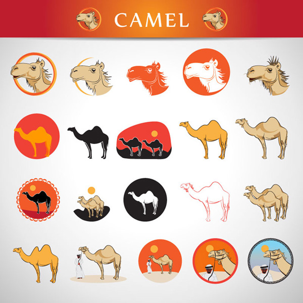 padrão de camelo