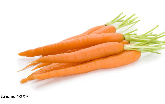 material de psd de zanahoria