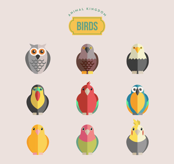 dessin animé oiseaux design