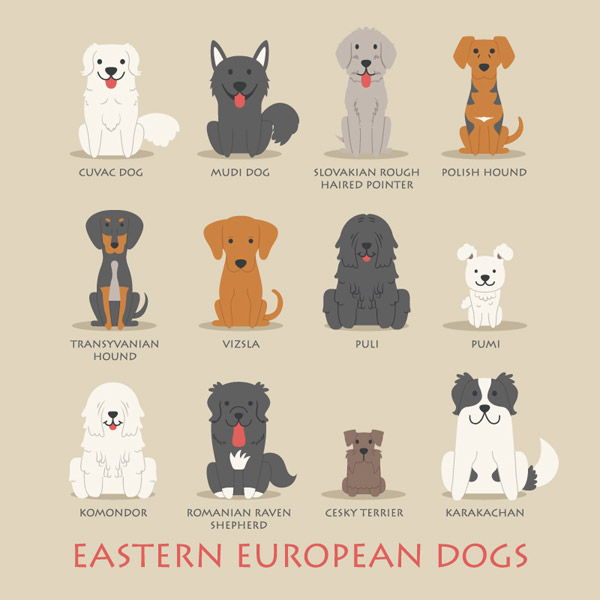 cão de estimação oriental dos desenhos animados