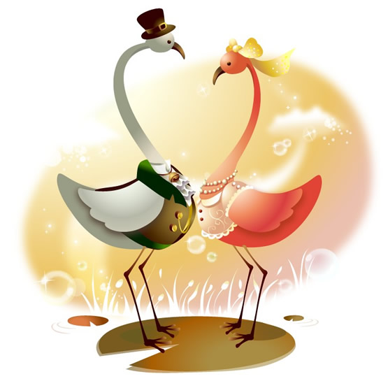 Cartoon Swan Couple Illustration