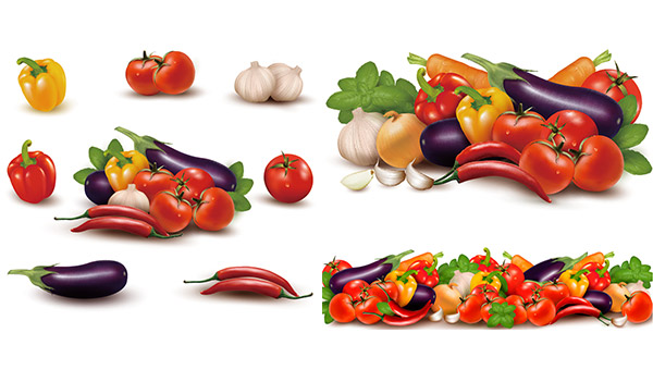 Cartoon Vegetables Design Encyclopedia