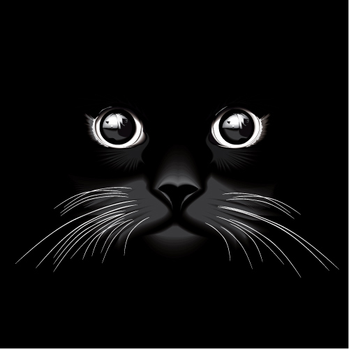 القط صورة ظلية فن الخط