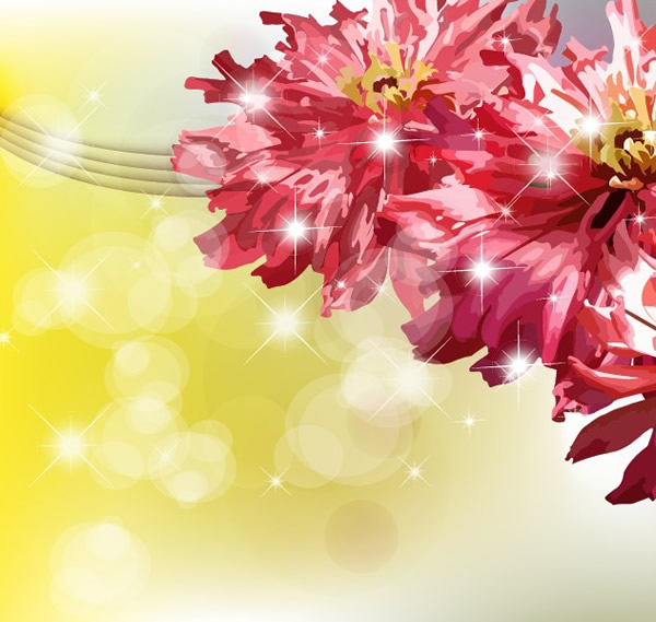 chrysanthème magnifiques arrière-plans