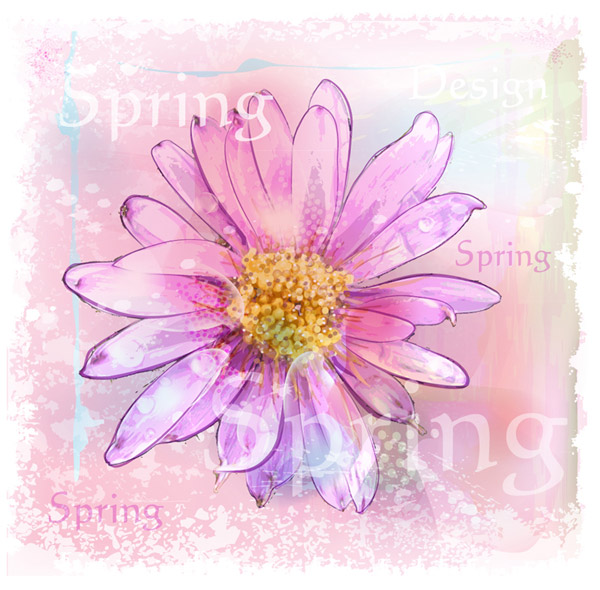 Chrysantheme pink Aquarell