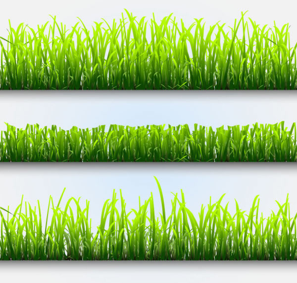 limpar o gramado verde