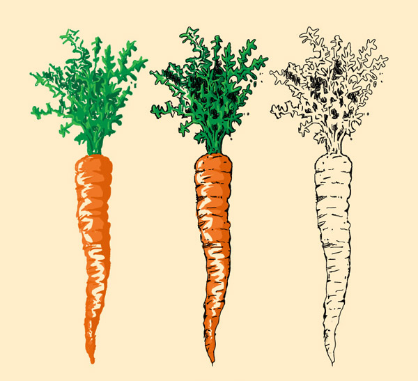 carote colorate