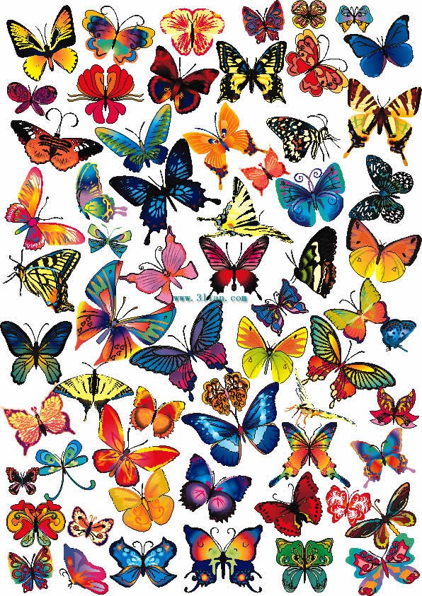 kupu-kupu berwarna-warni