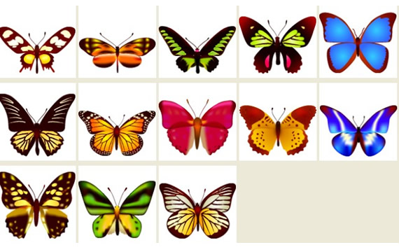 bunte Schmetterling PNG-icons